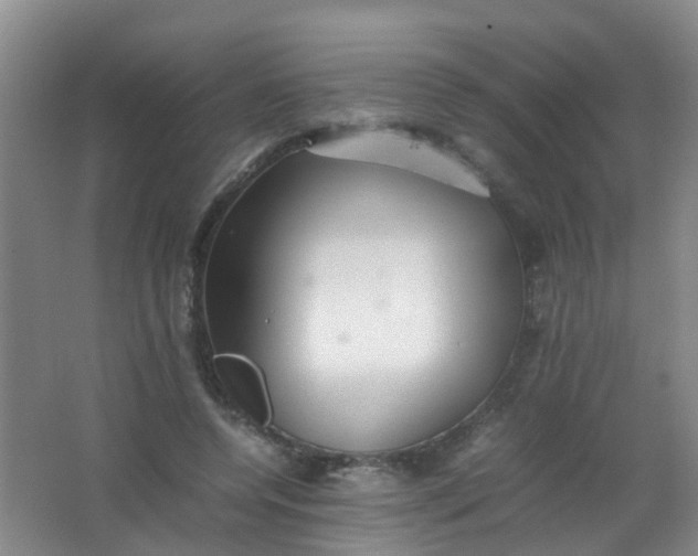 X0000062130544200512231441