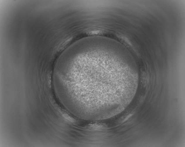 X0000062130545200512231441