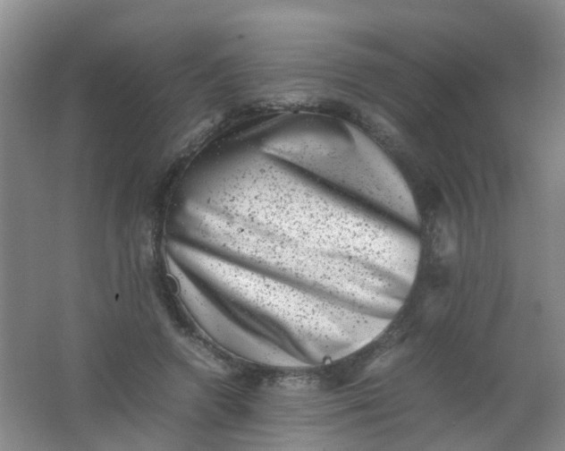 X0000062130546200512231441