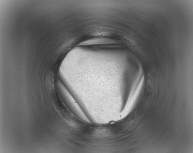 X0000062130547200512231441