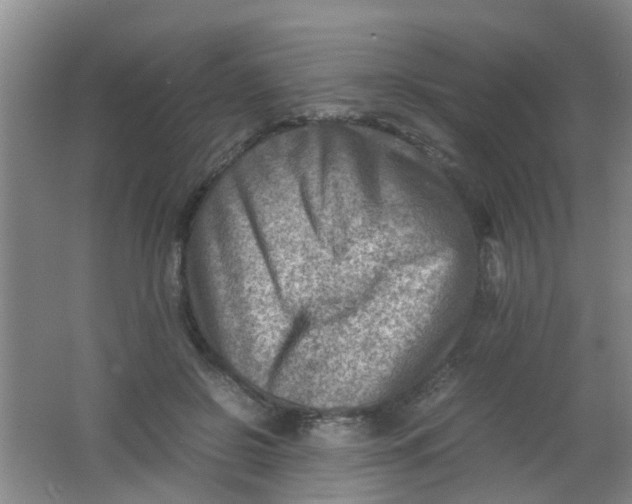 X0000062130550200512231441