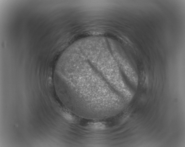 X0000062130553200512231441