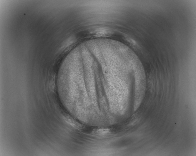 X0000062130554200512231441