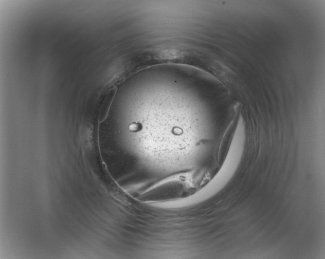 X0000062130556200512231441