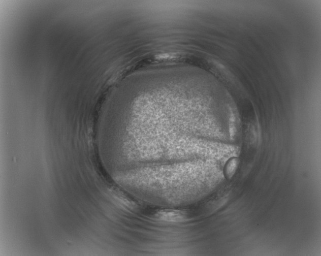 X0000062130557200512231441