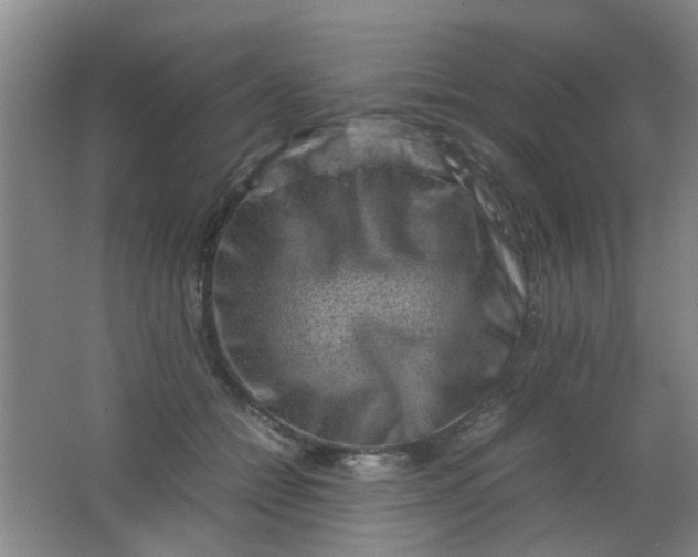 X0000062130558200512231441