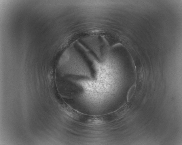 X0000062130559200512231441