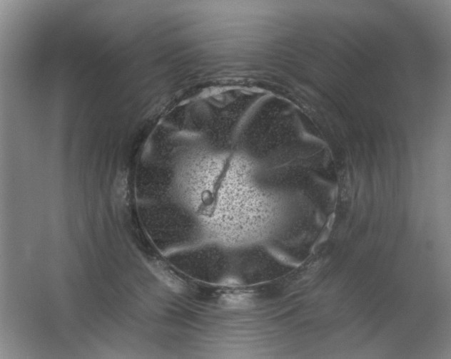 X0000062130560200512231441