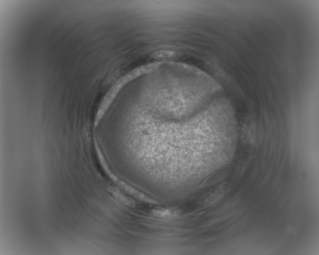 X0000062130561200512231441