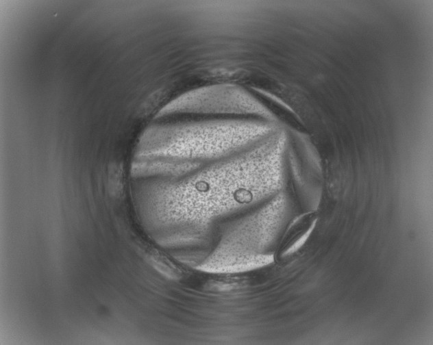 X0000062130563200512231441