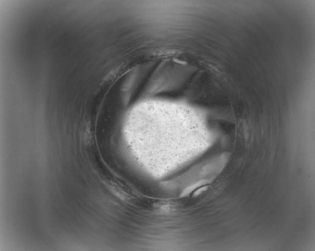 X0000062130564200512231441