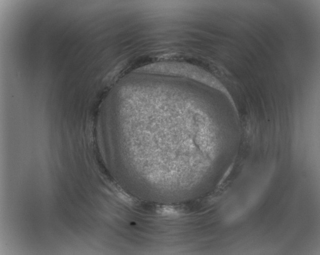 X0000062130565200512231441