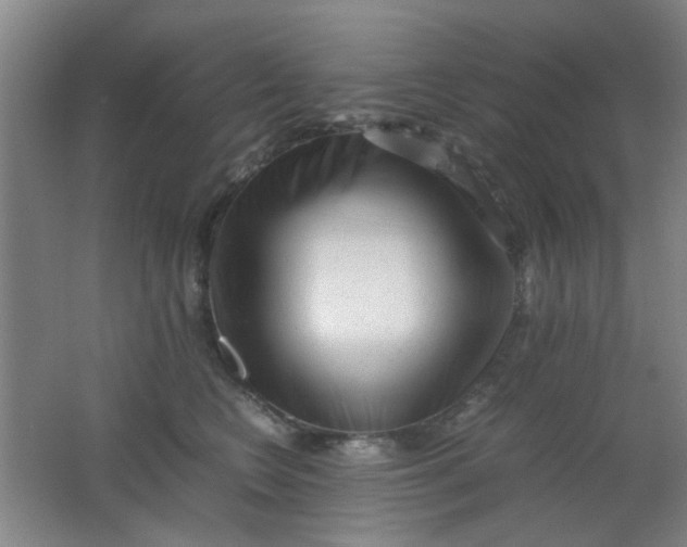 X0000062130566200512231441