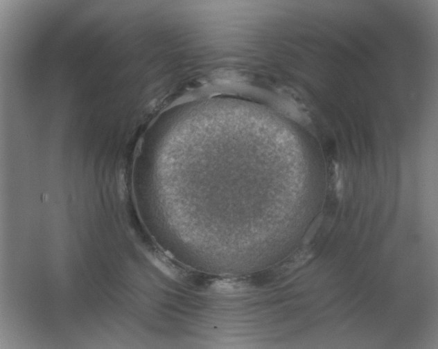 X0000062130568200512231441