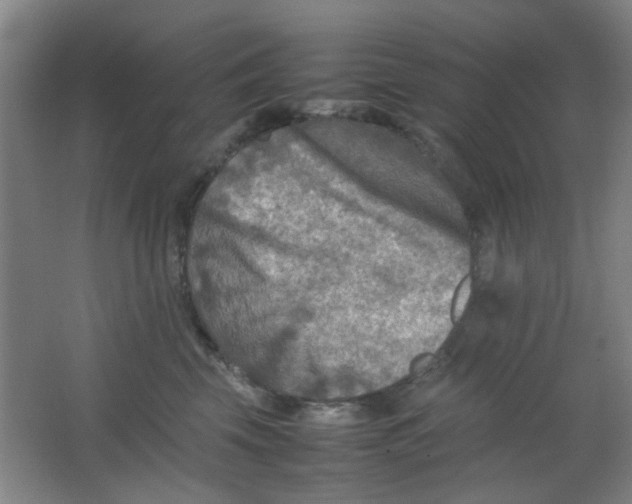 X0000062130569200512231441