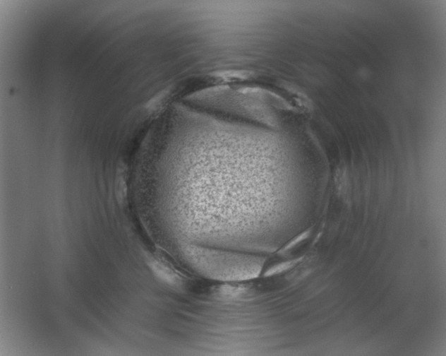 X0000062130570200512231441