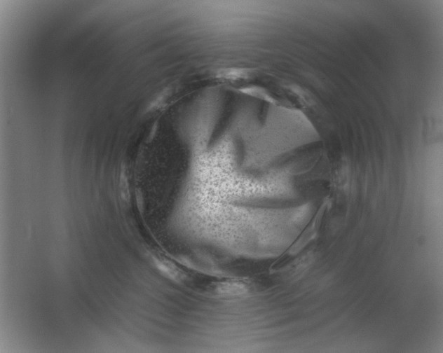 X0000062130572200512231441