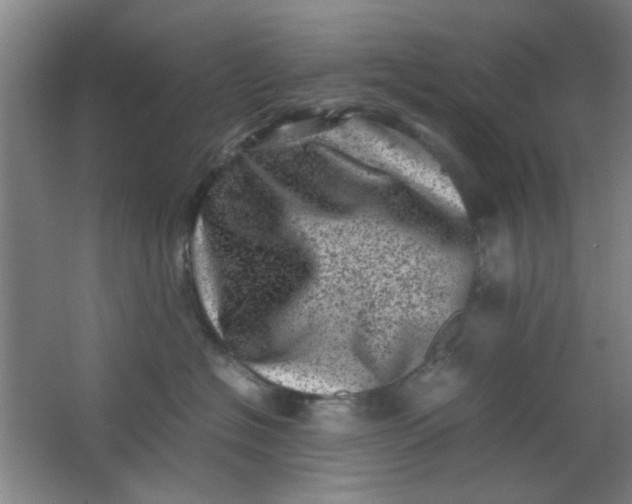 X0000062130574200512231441