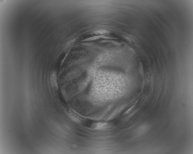 X0000062130575200512231441