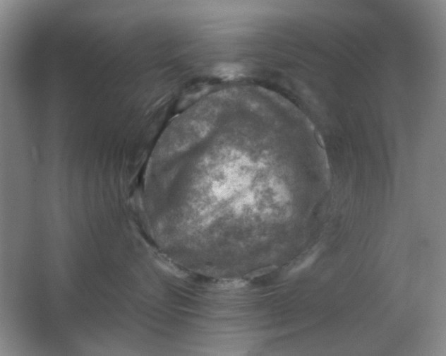 X0000062130576200512231441