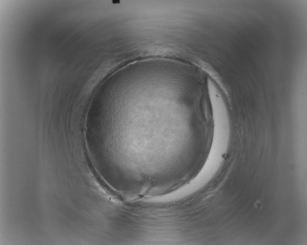 X0000062130577200512231440