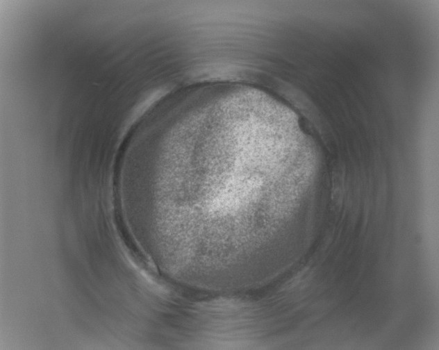 X0000062130578200512231440