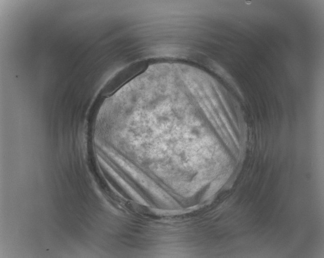 X0000062130580200512231440