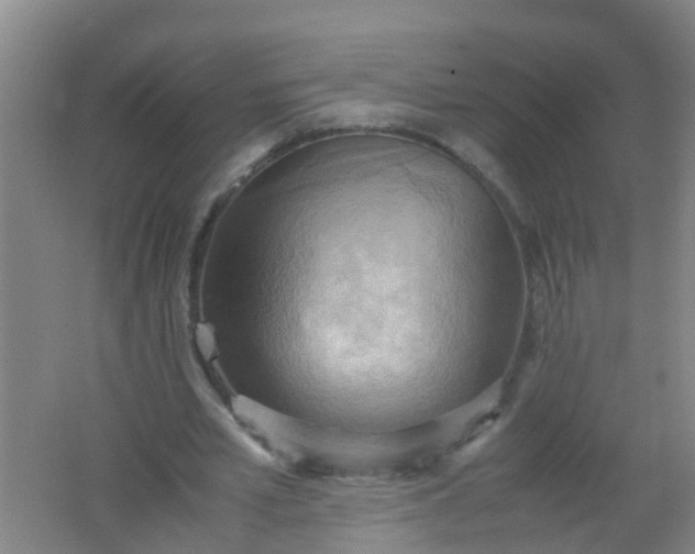 X0000062130581200512231440