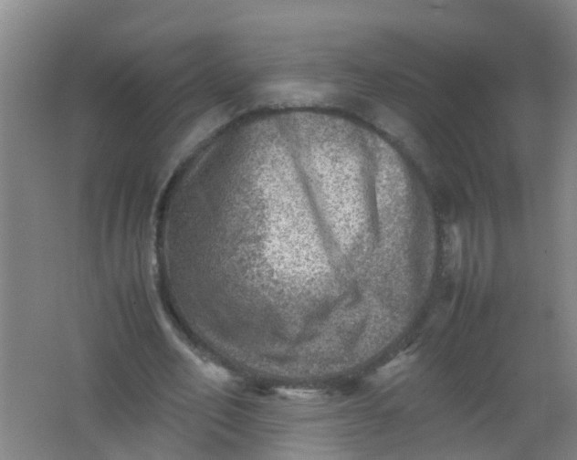 X0000062130582200512231440