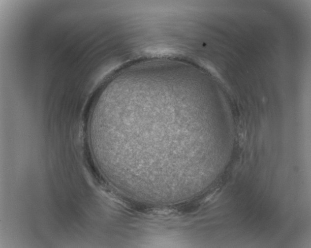 X0000062130583200512231440