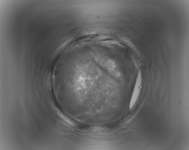 X0000062130585200512231440