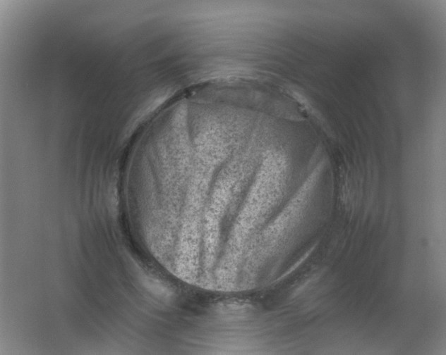 X0000062130586200512231440