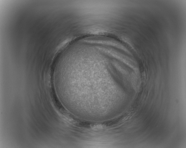 X0000062130587200512231440