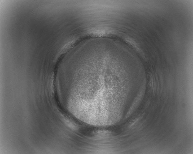 X0000062130590200512231440