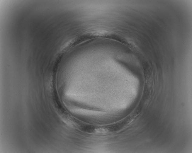 X0000062130591200512231440