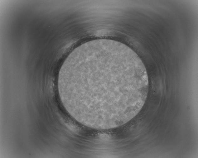 X0000062130592200512231440