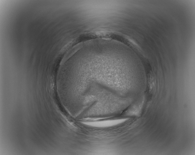 X0000062130593200512231440