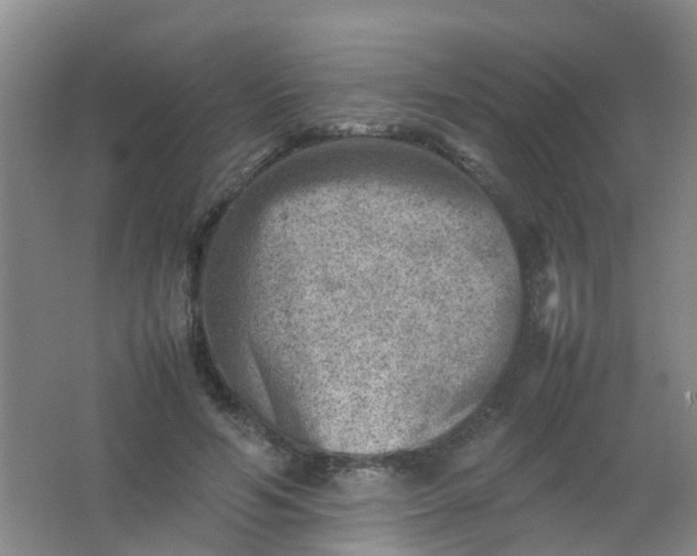 X0000062130594200512231440