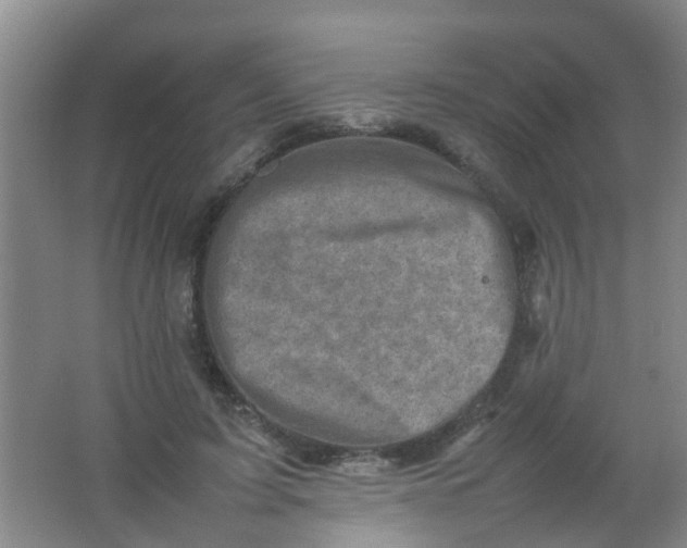 X0000062130595200512231440