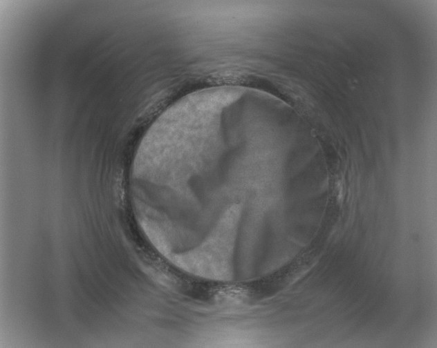 X0000062130599200512231440