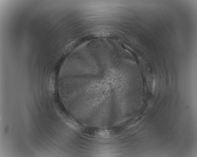 X0000062130600200512231440