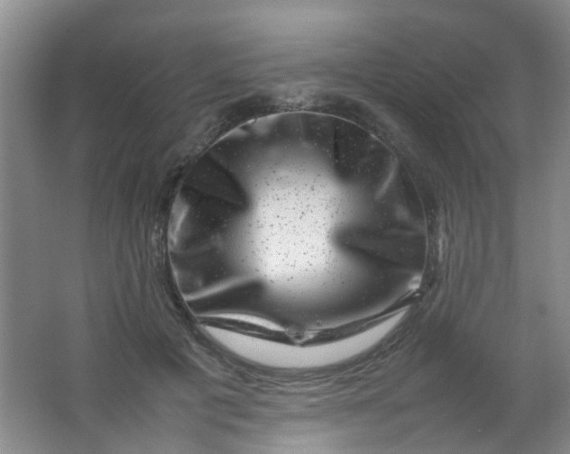 X0000062130601200512231440