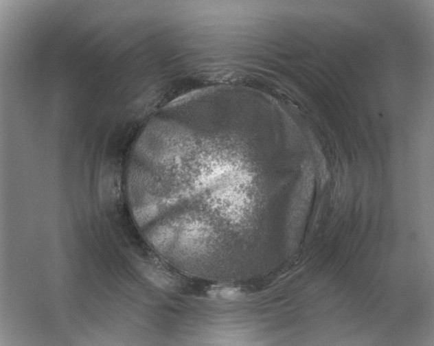 X0000062130602200512231440