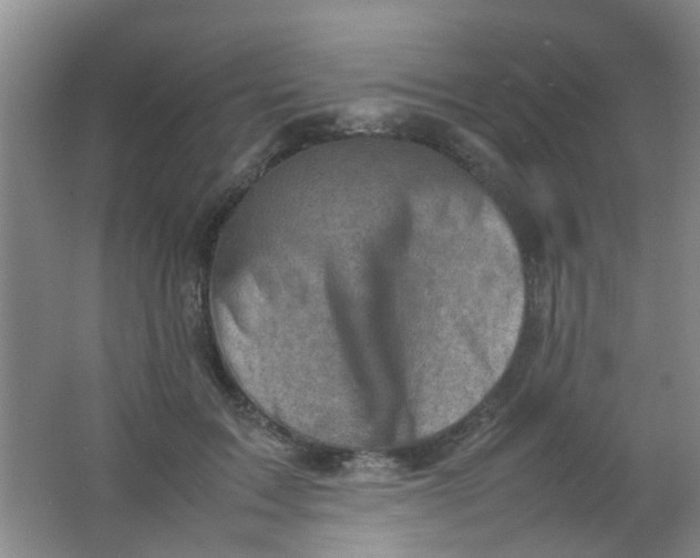 X0000062130603200512231440