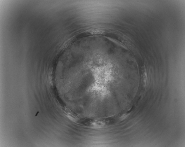 X0000062130604200512231440