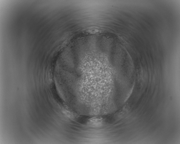 X0000062130606200512231440