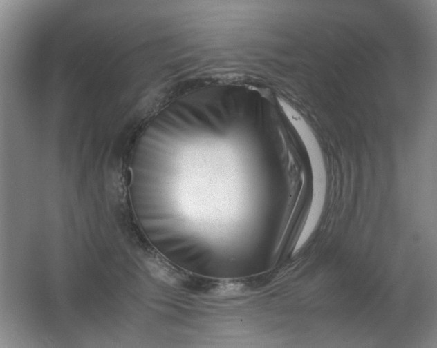 X0000062130609200512231440