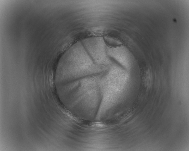 X0000062130610200512231440