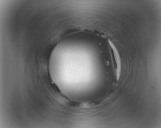 X0000062130613200512231440