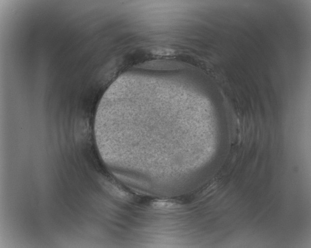 X0000062130614200512231440